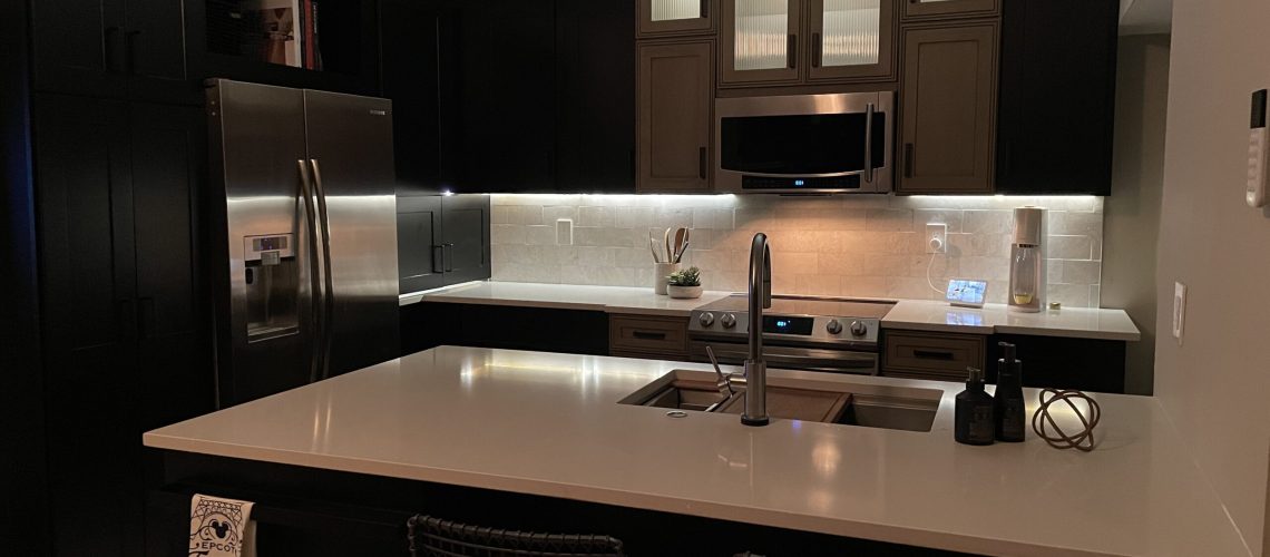 Kitchen Renovation Experts in Boca Raton